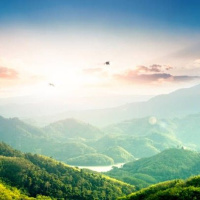 Hayei Sarah: God of the Heavens and Earth