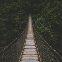 Episode 2 - What Is Agile - Adjective or Verb