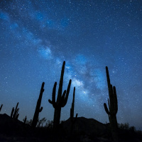 Perpetuum Mobile #122. Camino a la belleza - Episodio exclusivo para mecenas