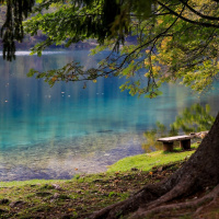 Perpetuum Mobile #212. Voz, electrónica y cine - Episodio exclusivo para mecenas