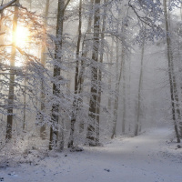 Perpetuum Mobile #154. Nuevos talentos y viejos genios - Episodio exclusivo para mecenas