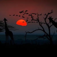 Perpetuum Mobile #118. Paseando entre músicas - Episodio exclusivo para mecenas