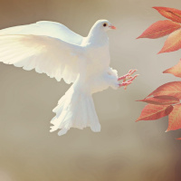 Perpetuum Mobile #117. Música con alma - Episodio exclusivo para mecenas