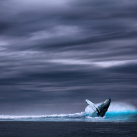 Perpetuum Mobile #200. Doscientos programas - Episodio exclusivo para mecenas