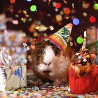 Perpetuum Mobile. Episodio 98. Segundo aniversario. Resumen del año [1ª parte]