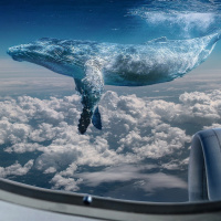 Perpetuum Mobile #201 ... ¡y seguimos! - Episodio exclusivo para mecenas