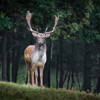 Perpetuum Mobile #128. Respira profundamente y relájate - Episodio exclusivo para mecenas