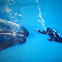 Perpetuum Mobile #224. Alquimia electrónica - Episodio exclusivo para mecenas