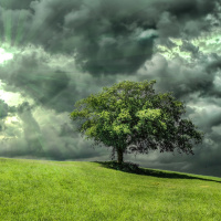 Perpetuum Mobile. Episodio 95. De la poética a la épica - Episodio exclusivo para mecenas