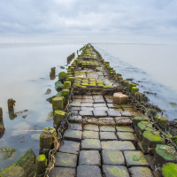 Perpetuum Mobile. Episodio 79. En la orilla de un mar de música - Episodio exclusivo para mecenas