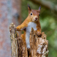 Perpetuum Mobile #167 Siglo XXI - Episodio exclusivo para mecenas