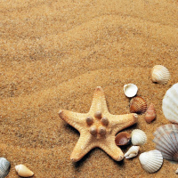 Perpetuum Mobile #183 Finales de agosto - Episodio exclusivo para mecenas