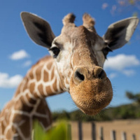 Perpetuum Mobile #250 Y seguimos adelante - Episodio exclusivo para mecenas