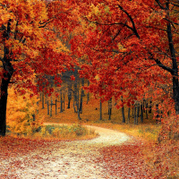 Perpetuum Mobile #103. Melancolía otoñal - Episodio exclusivo para mecenas