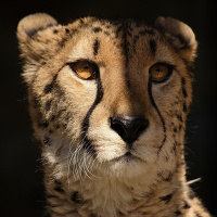 Perpetuum Mobile #160. Temas seleccionados por los oyentes