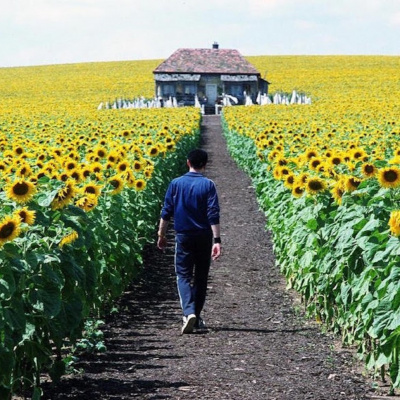 Projeto Promontório