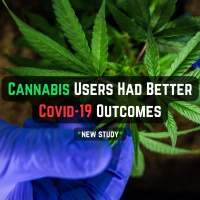 Can Cannabis Stop Covid? 