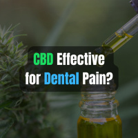 Can CBD Treat Dental Pain?