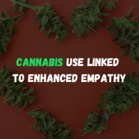 Is Cannabis Use Linked To Empathy?