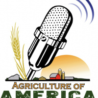 Dutch agriculture policy: Bill Wirtz on Agriculture of America