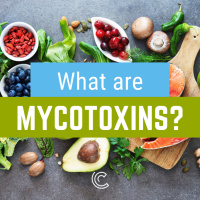 What are Mycotoxins? Interview with Kanniah Rajasekaran PhD.