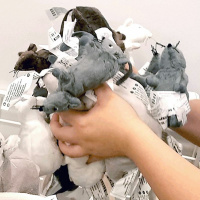 RatWatch Ep3 Preview - THE RETURN