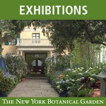 Emily Dickinsons Garden: The Poetry Of Flowers (2010)