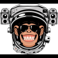 Should we make a humanzee?