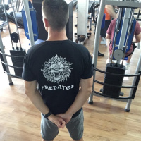 Mensagens no Whatsapp