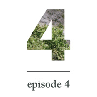 When to Let It Go (Stress)