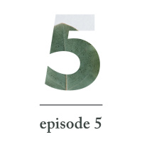 Down to Earth (Nature)