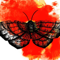 #1.VarorizandoSonhos