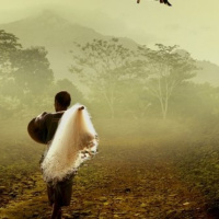 Donde cualquier cosa puede suceder