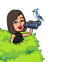 Servicios de coaching y asesorías