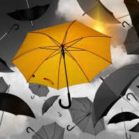 Más importante que la realidad es tu enfoque