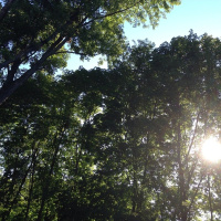 Sesión Estableciendo conexión