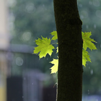 Cómo dejar de fortalecer mi problema sin sentir que lo descuido