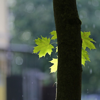 Conecta Con Tu Poder