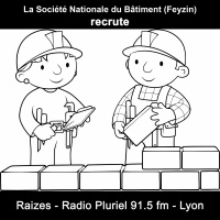 Offre Demploi - Société Nationale Du Bâtiment (Feyzin)