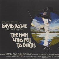 The Man Who Fell to Earth