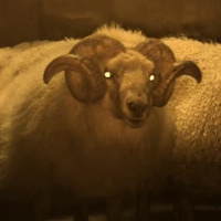 Preparations, Riders amp Lamb