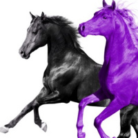 LIL NAZ X - OLD TOWN ROAD 