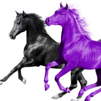 OLD TOWN ROAD FT. BILLY RAY CYRUS 