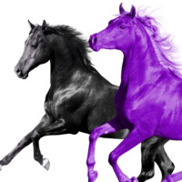 OLD TOWN ROAD FT. BILLY RAY CYRUS 