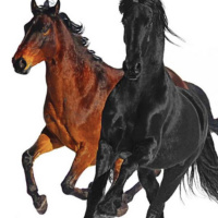 LIL NAZ X - OLD TOWN ROAD 