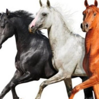 LIL NAZ X - OLD TOWN ROAD 