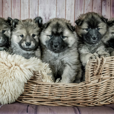 Insurtech Insider By 11:fs