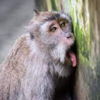 Έχεις γλύψει τοίχο