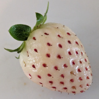 Παγωτά, φράουλες και Τσίκεν Τσόκο