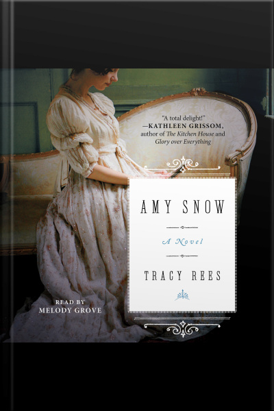 Amy Snow: A Novel